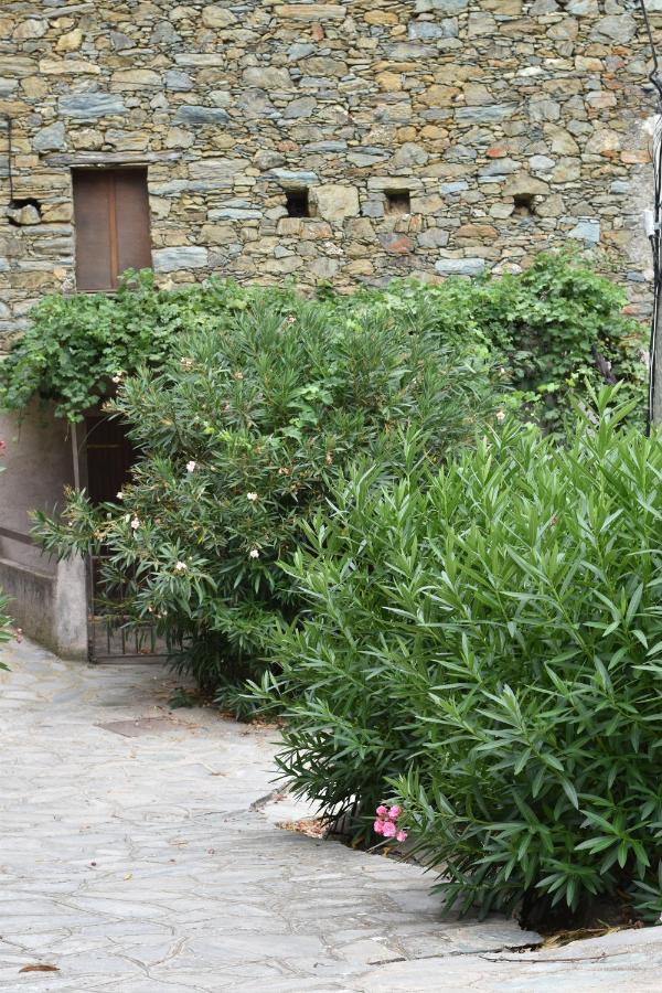 Maison De Village Avec Vue Sur Les Montagnes Bigorno Exterior photo